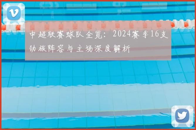 中超联赛球队全览：2024赛季16支劲旅阵容与主场深度解析